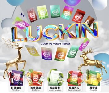 LUCKIN幸運電子煙主機 高性能智能時尚設計煙桿 台灣現貨 2 LUCKIN 幸運主機