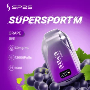 SP2S 9000 Puff 